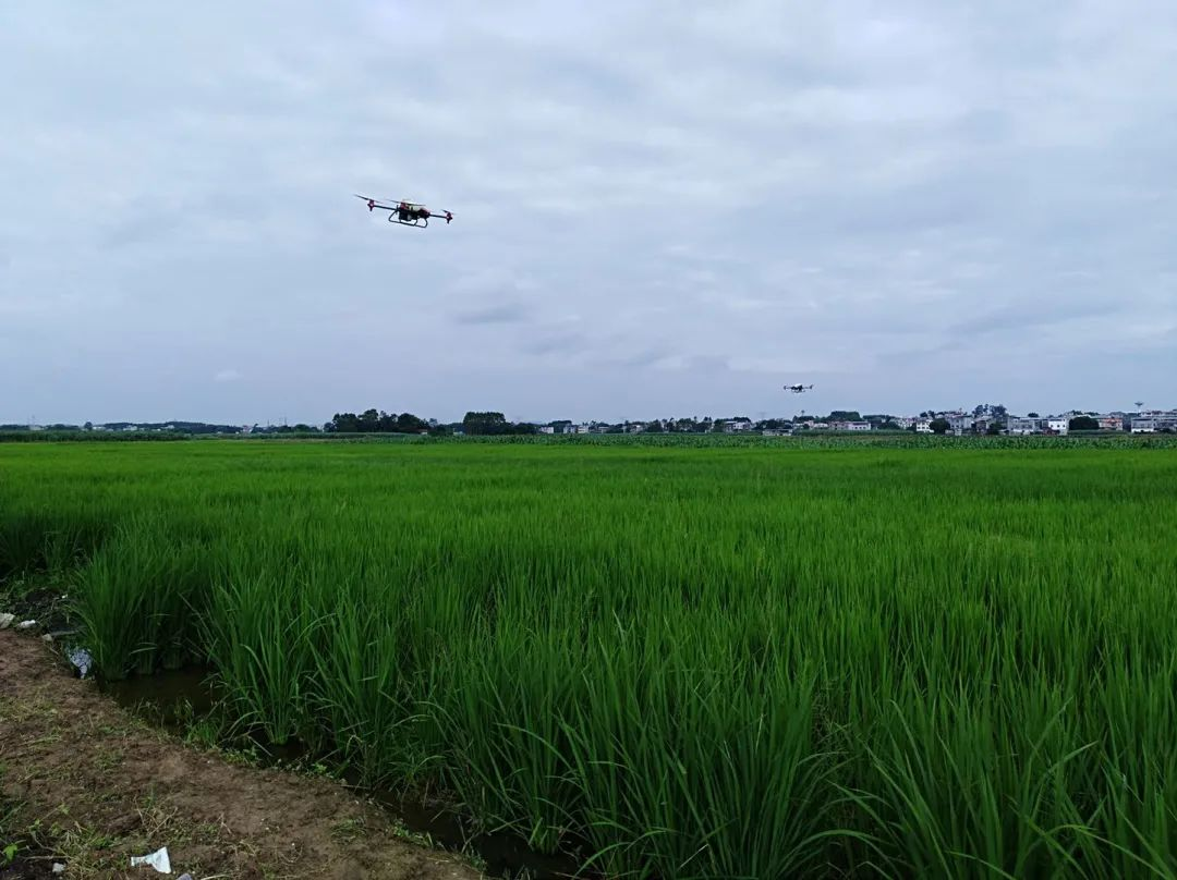 upay钱包下载-UPAY钱包(中国区) -【官方网站】