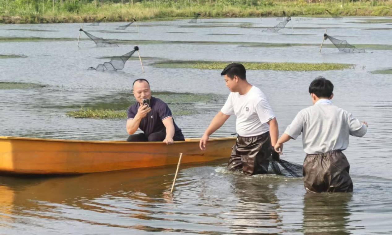 upay钱包下载-UPAY钱包(中国区) -【官方网站】
