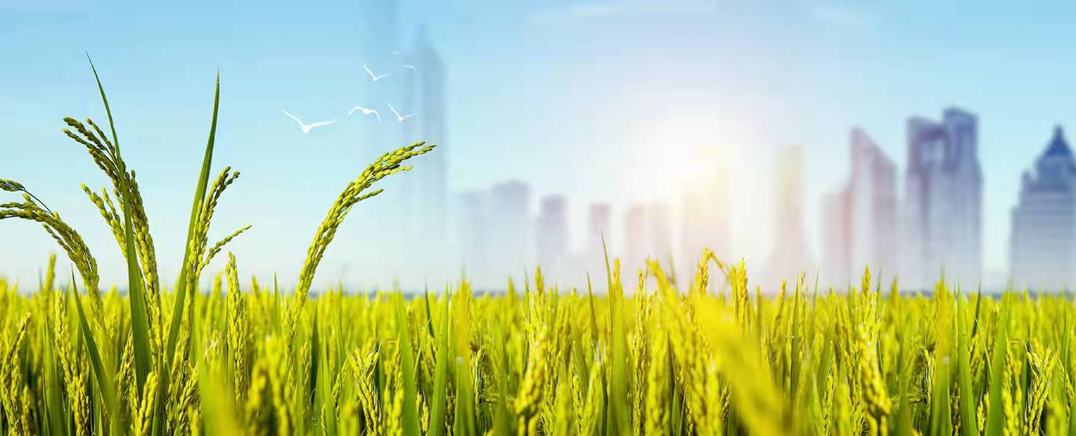 upay钱包下载-UPAY钱包(中国区) -【官方网站】