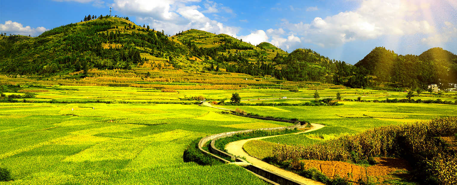 upay钱包下载-UPAY钱包(中国区) -【官方网站】